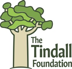 Tindall Foundation Logo Colour 002 v2